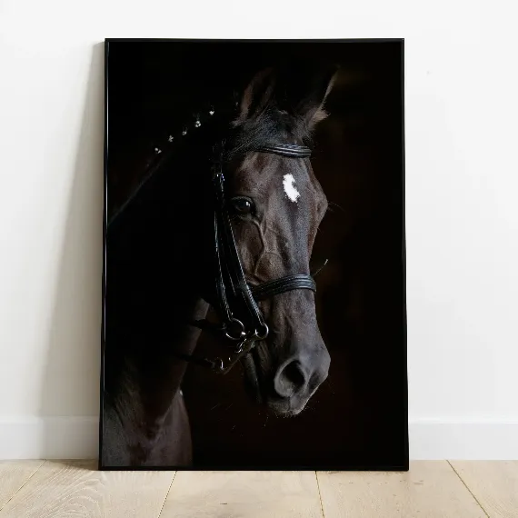 Cavalo Preto